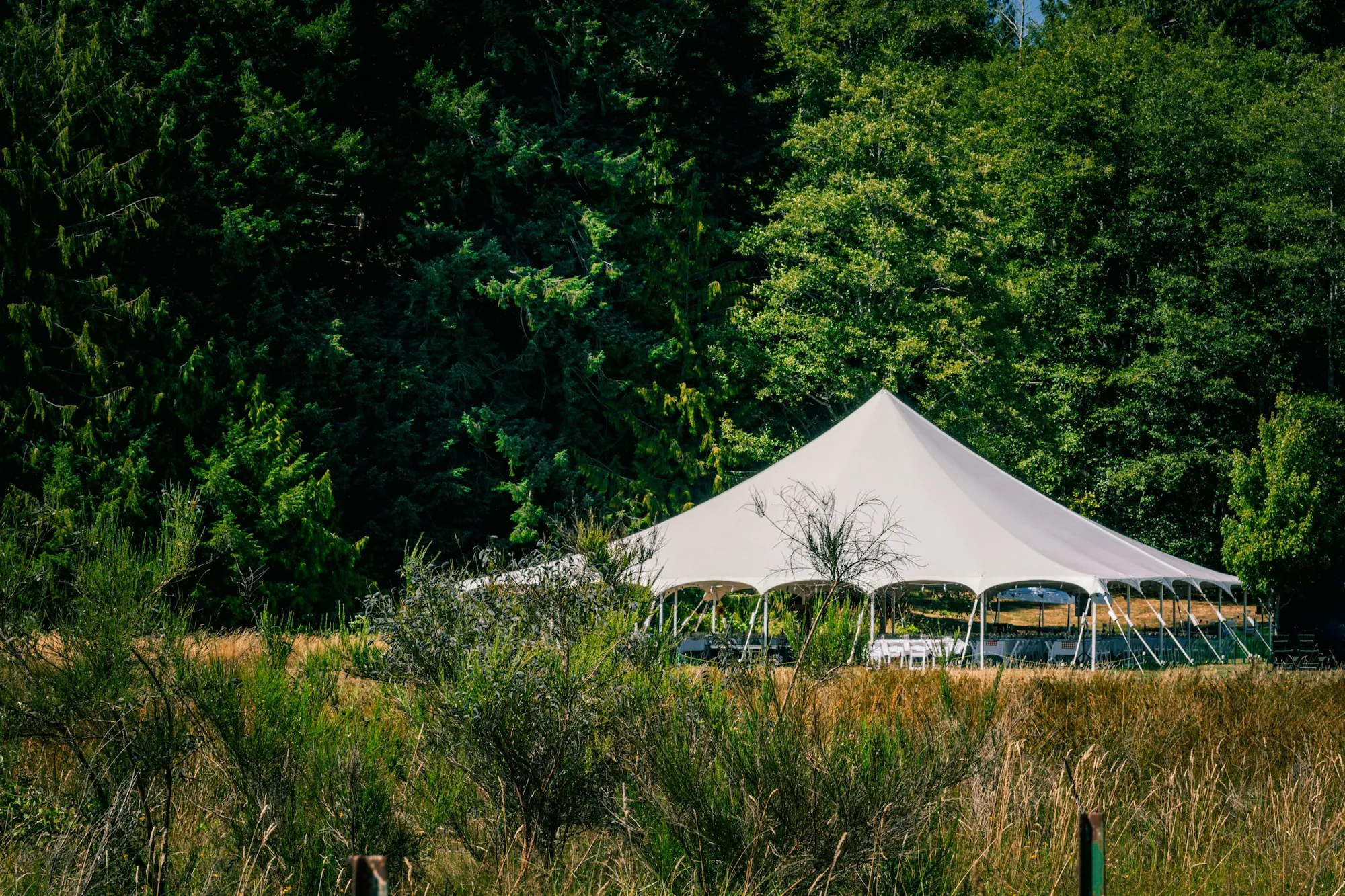 Large white event tent on a grassy field